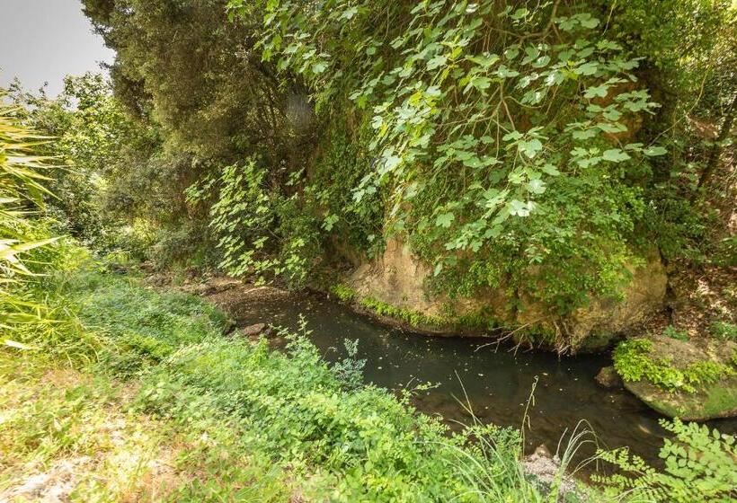 Le Cocon De La Source   Votre Séjour Au Frais En Provence Verte