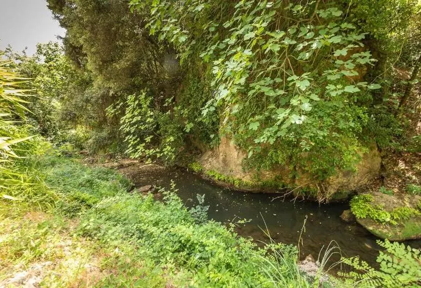 Le Cocon De La Source   Votre Séjour Au Frais En Provence Verte
