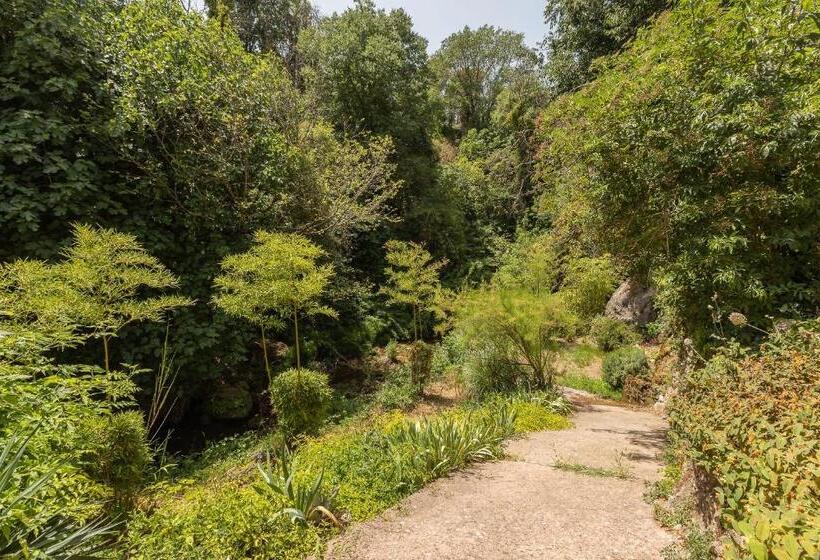 Le Cocon De La Source   Votre Séjour Au Frais En Provence Verte