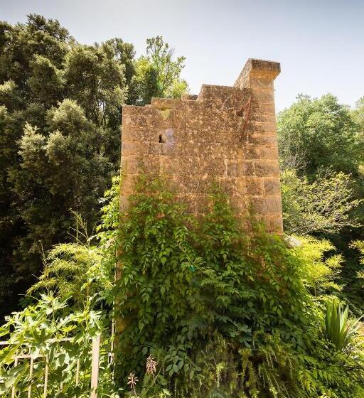 Le Cocon De La Source   Votre Séjour Au Frais En Provence Verte