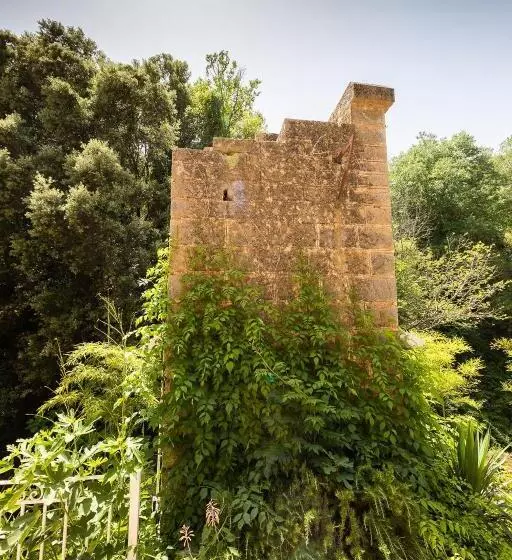 Le Cocon De La Source   Votre Séjour Au Frais En Provence Verte