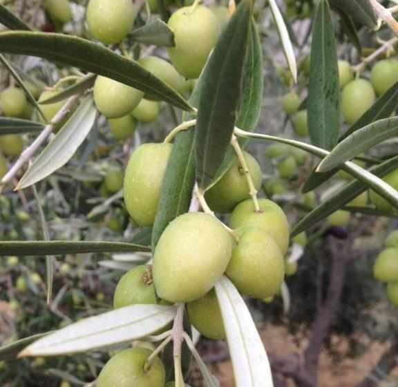 No 31 Bed & Breakfast