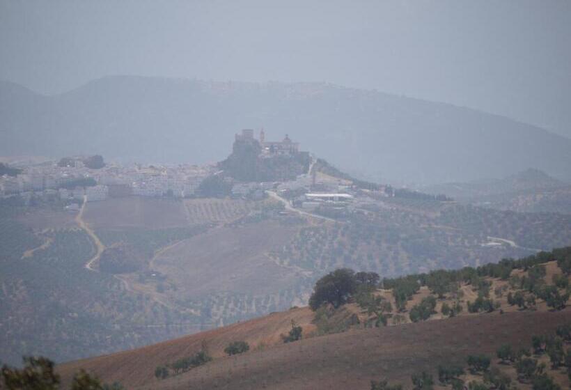 No 31 Bed & Breakfast