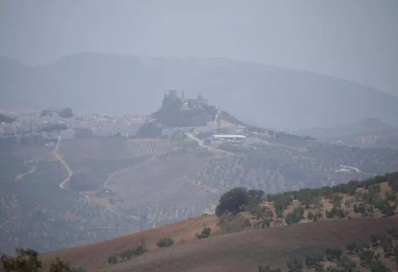 No 31 Bed & Breakfast