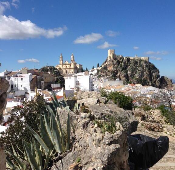 No 31 Bed & Breakfast