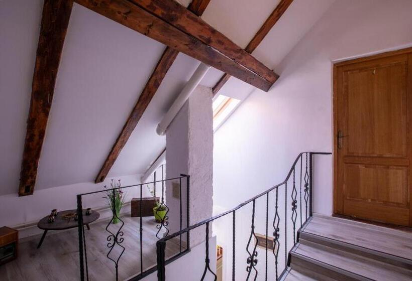 ペンション 4 Rooms Piata Sfatului