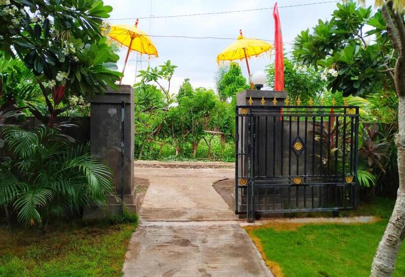 بنسيون Angga Guest House