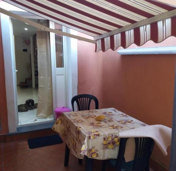 بنسيون Billy House