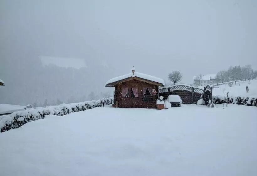 ペンション Gästehaus Hanser