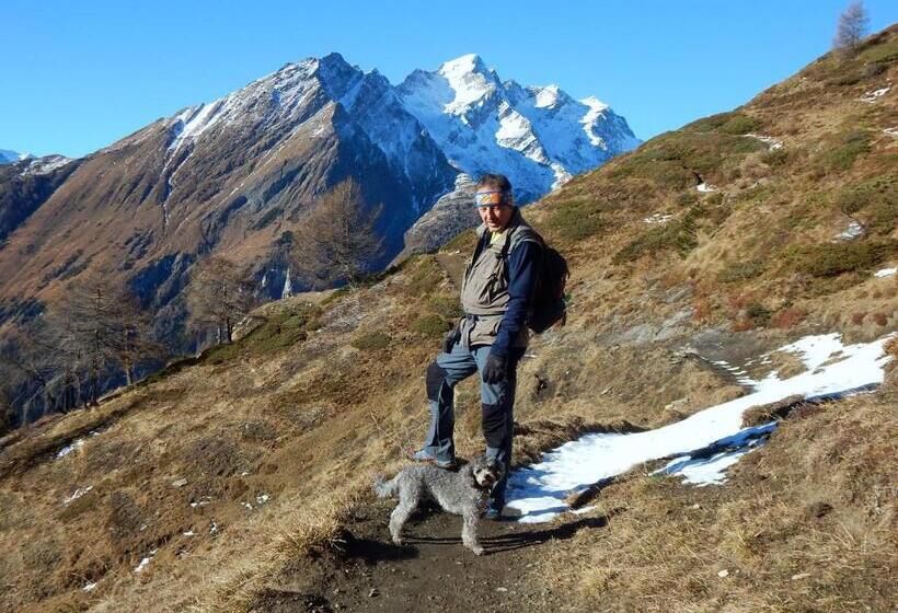 Пансион Gästehaus Hanser