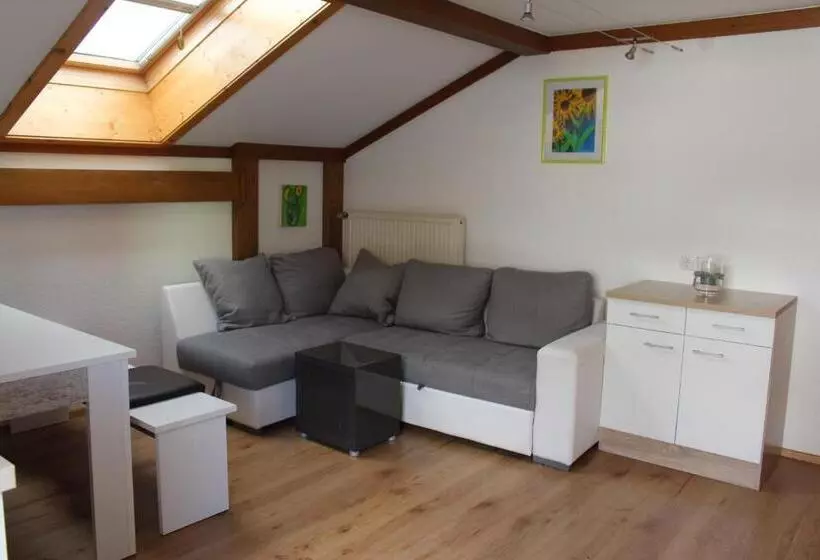 ペンション Gästehaus Hanser