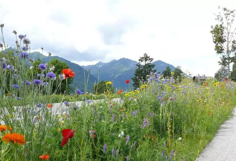 ペンション Gästehaus Hanser