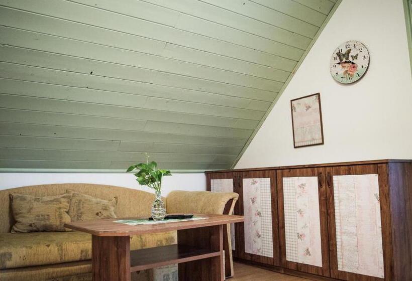 Pensjonat Penzion U Lupíků