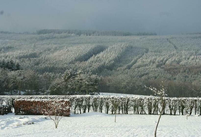 پانسیون The View