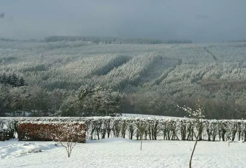 ペンション The View