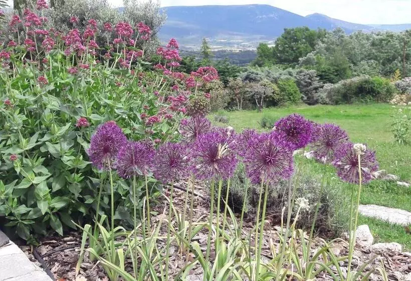 Aamiaismajoitus (B&B) Les Cerises