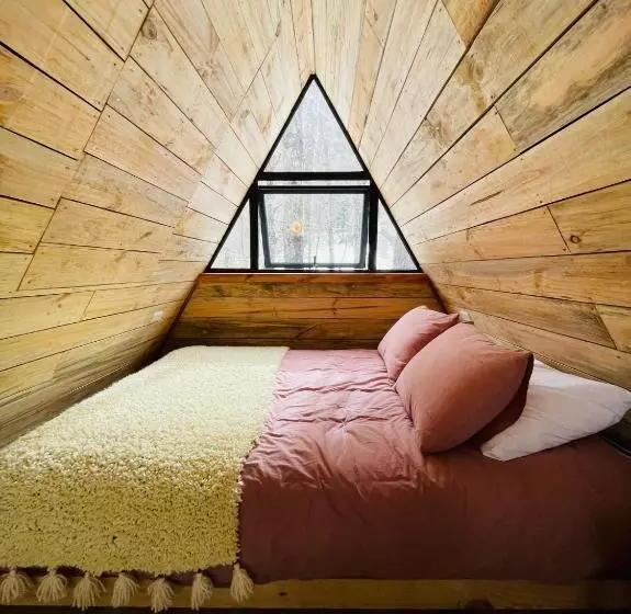 Casa Del árbol   Malalcahuello