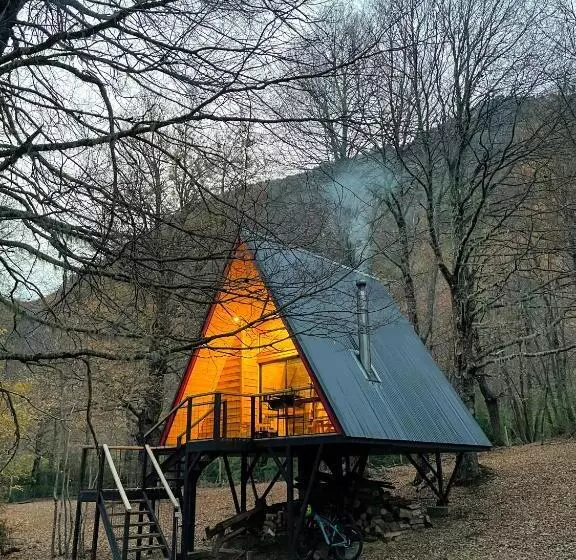 Casa Del árbol   Malalcahuello