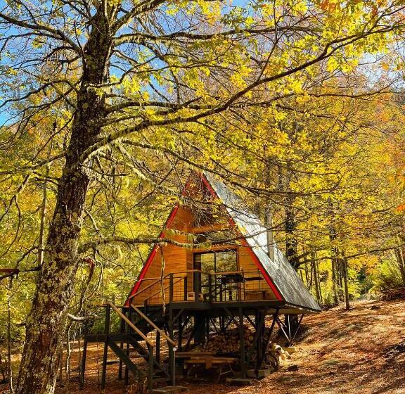 Casa Del árbol   Malalcahuello