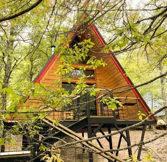 Casa Del árbol   Malalcahuello