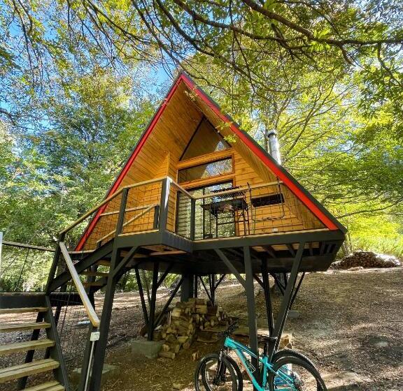 Casa Del árbol   Malalcahuello