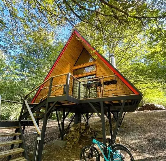 Casa Del árbol   Malalcahuello