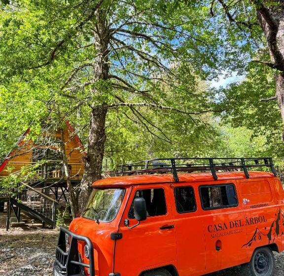Casa Del árbol   Malalcahuello