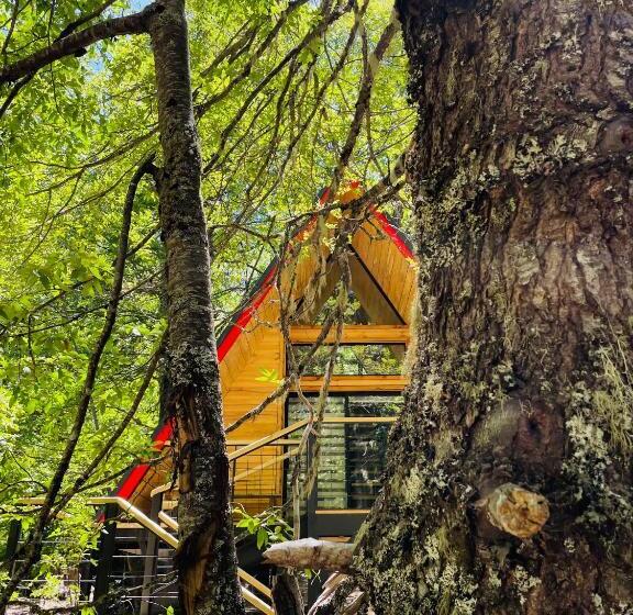 Casa Del árbol   Malalcahuello