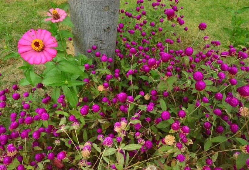 فندق Baan Nork Farmstay บ้านนอก ฟาร์มสเตย์