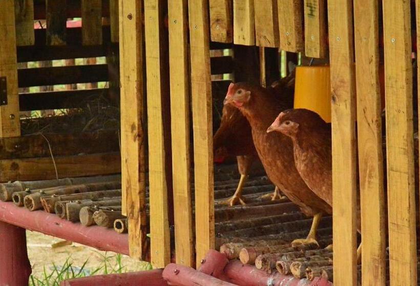 فندق Baan Nork Farmstay บ้านนอก ฟาร์มสเตย์