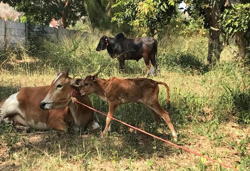 فندق Baan Nork Farmstay บ้านนอก ฟาร์มสเตย์