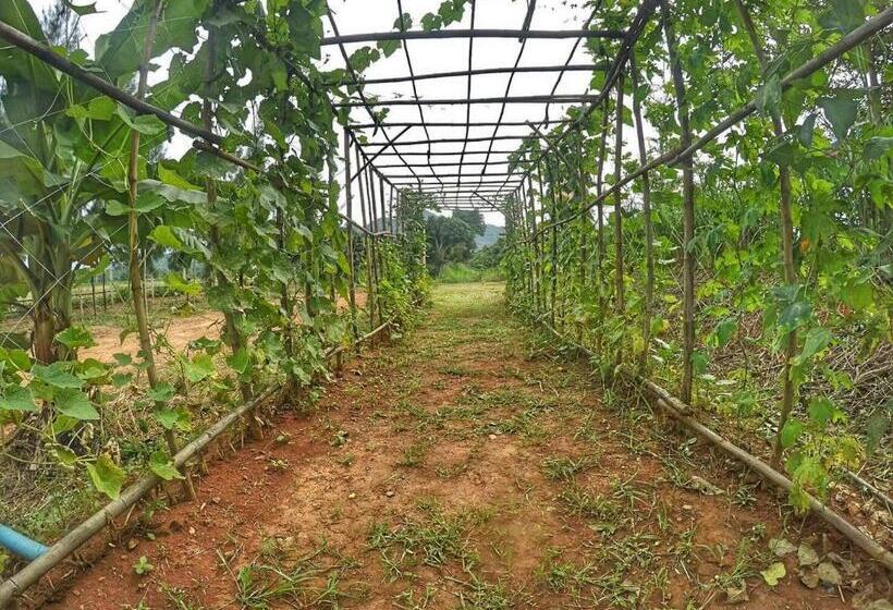 فندق Baan Nork Farmstay บ้านนอก ฟาร์มสเตย์