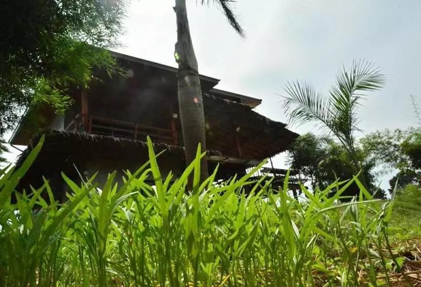 هتل Baan Nork Farmstay บ้านนอก ฟาร์มสเตย์