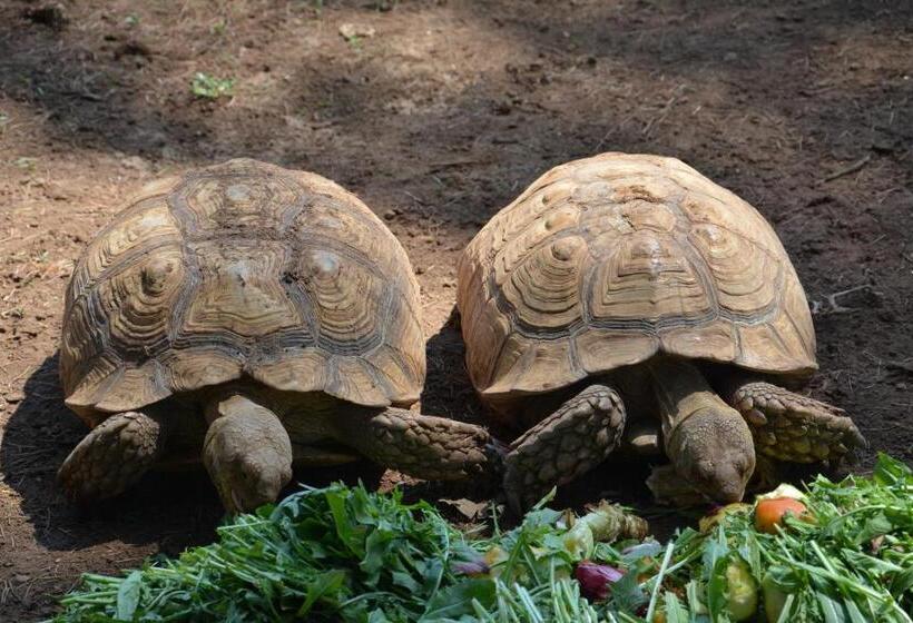 호텔 La Piana Dell Erika