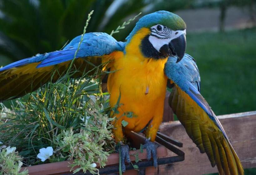 호텔 La Piana Dell Erika