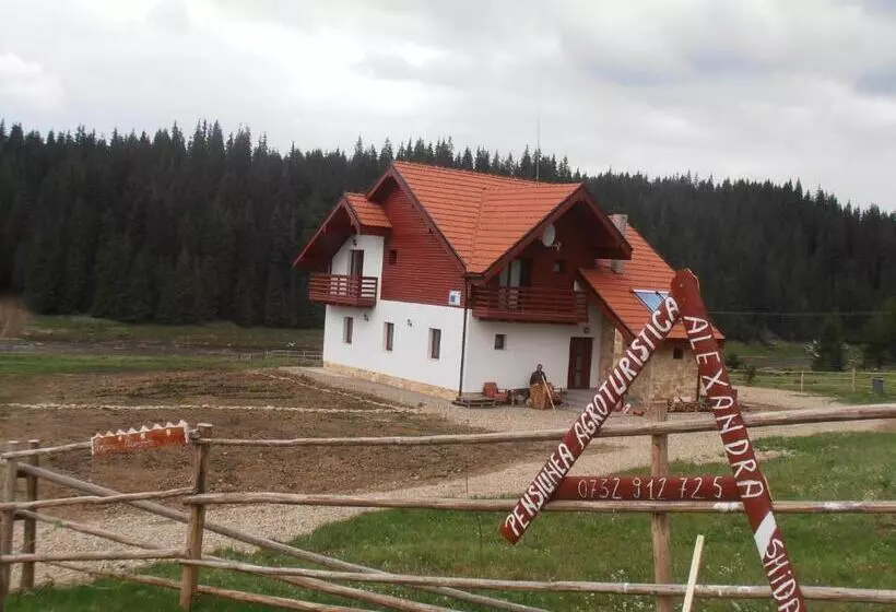 ホテル Pensiunea Agroturistica Alexandra