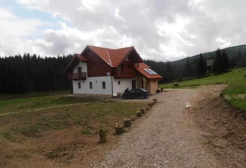 ホテル Pensiunea Agroturistica Alexandra