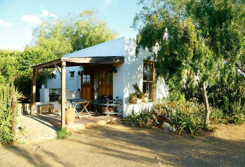 פנסיון Aloe Guest House