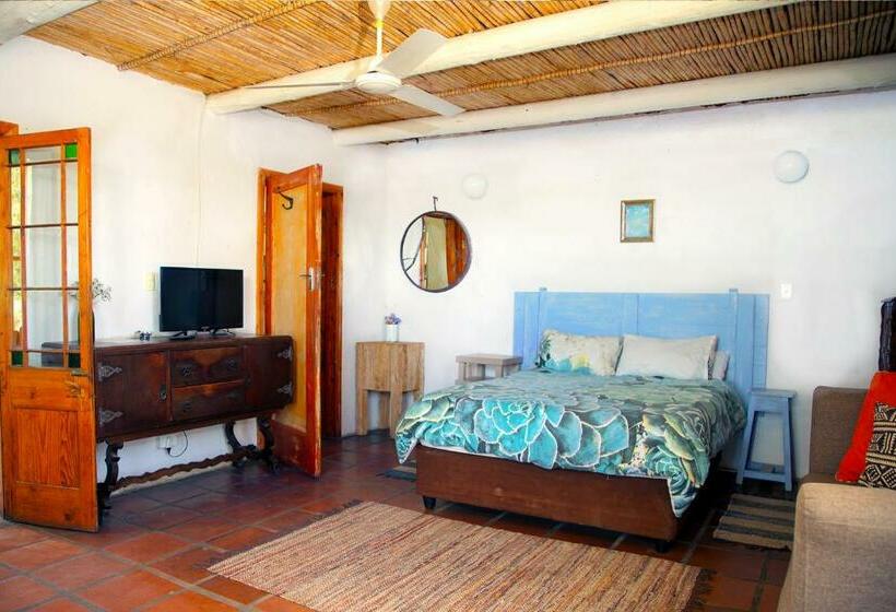 פנסיון Aloe Guest House