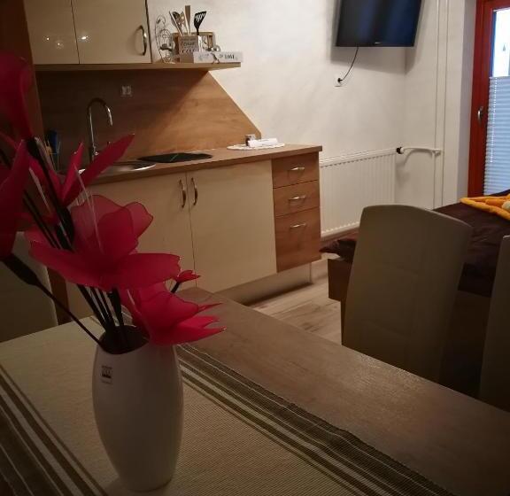 ペンション Ekoturizem Viženčar