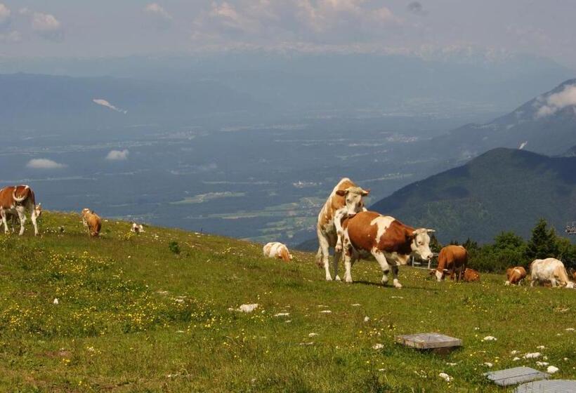 ペンション Ekoturizem Viženčar