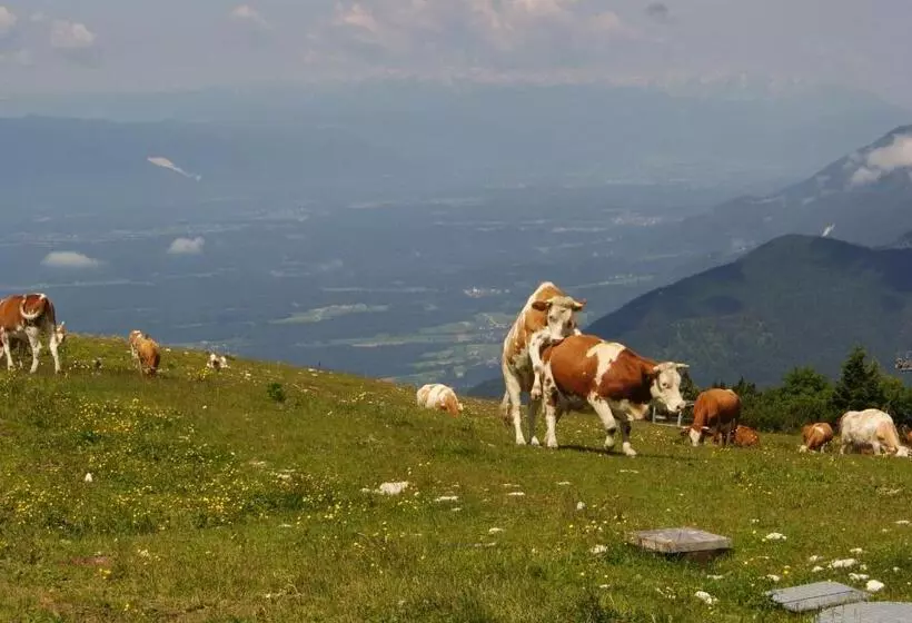 پانسیون Ekoturizem Viženčar