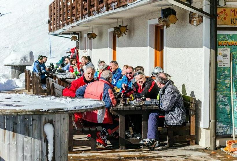 ペンション Ekoturizem Viženčar