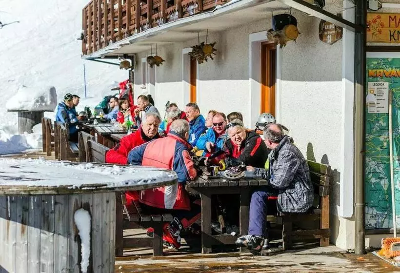 پانسیون Ekoturizem Viženčar