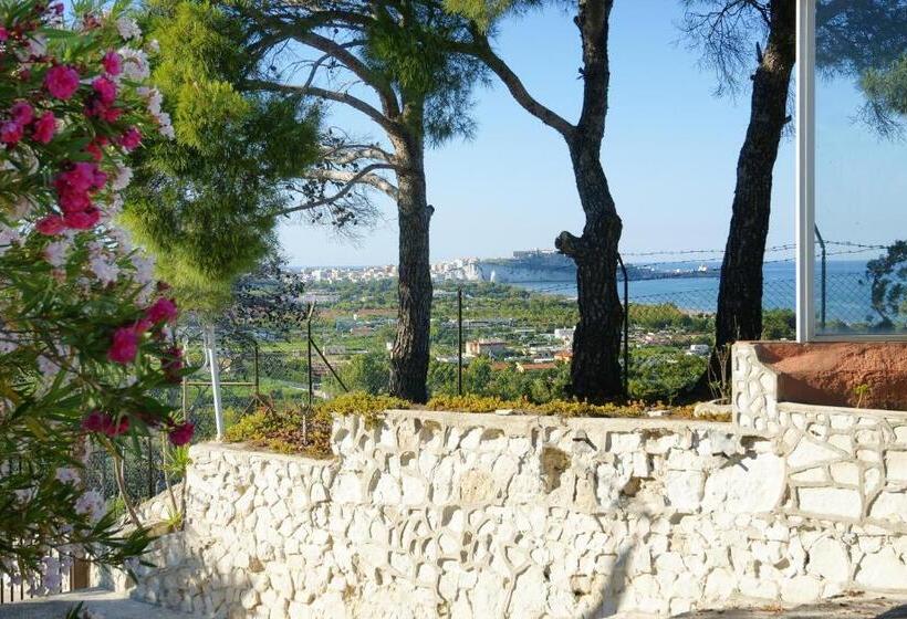 Residence Regine Club