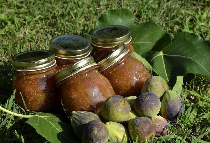 9 Muse Bed And Breakfast