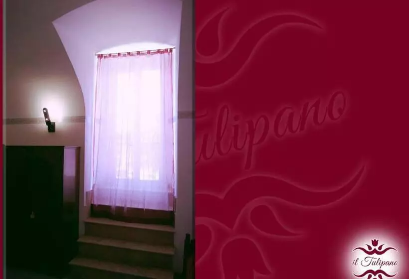 B&b Il Tulipano