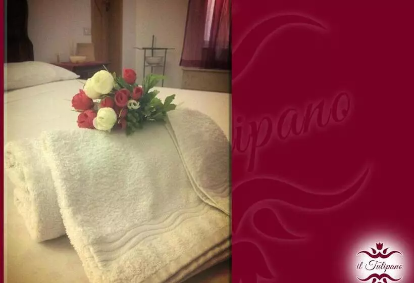 B&b Il Tulipano