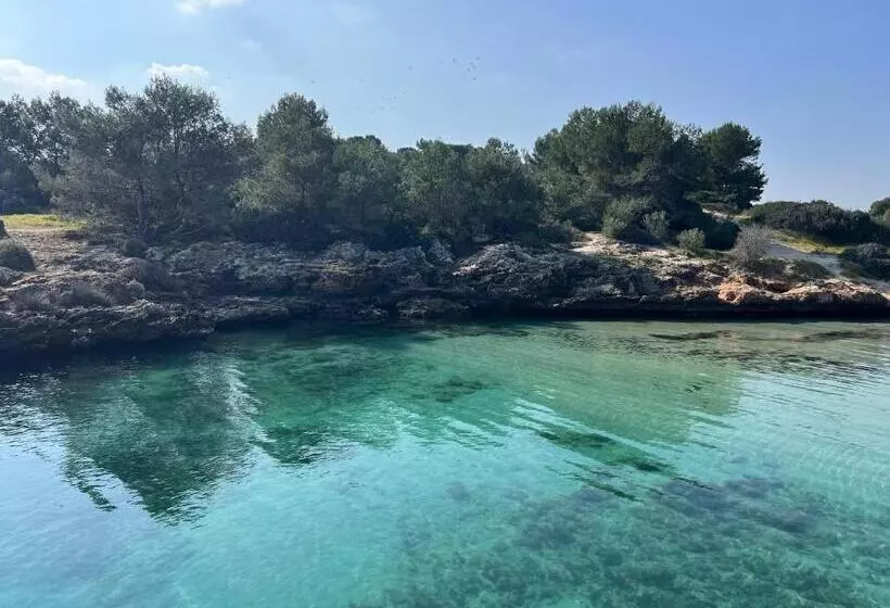 Aamiaismajoitus (B&B) Donna Nina