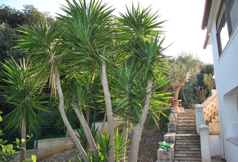 Bed and Breakfast Le Dimore Del Sarto Polignano A Mare